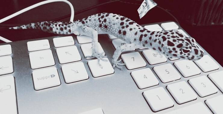 Инсталляция Python на Windows